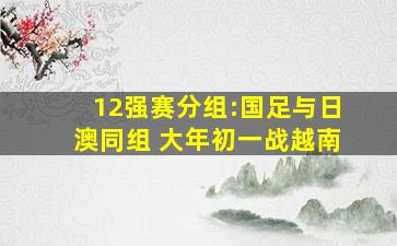 12强赛分组:国足与日澳同组 大年初一战越南